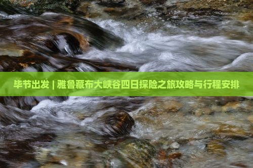 毕节出发 | 雅鲁藏布大峡谷四日探险之旅攻略与行程安排 毕节出发 | 雅鲁藏布大峡谷四日探险之旅攻略与行程安排