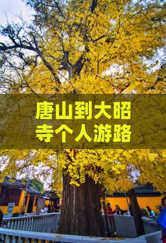 唐山到大昭寺个人游路线及费用全攻略