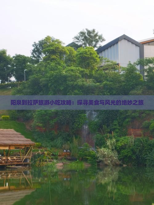 阳泉到拉萨旅游小吃攻略：探寻美食与风光的绝妙之旅
