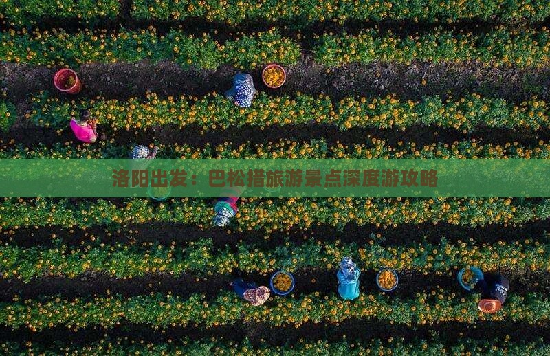洛阳出发：巴松措旅游景点深度游攻略