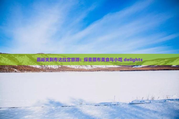 嘉峪关到布达拉宫旅游：探索藏布美食与小吃 delights
