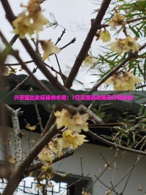 兴安盟出发探秘纳木措：7日深度游攻略及行程安排