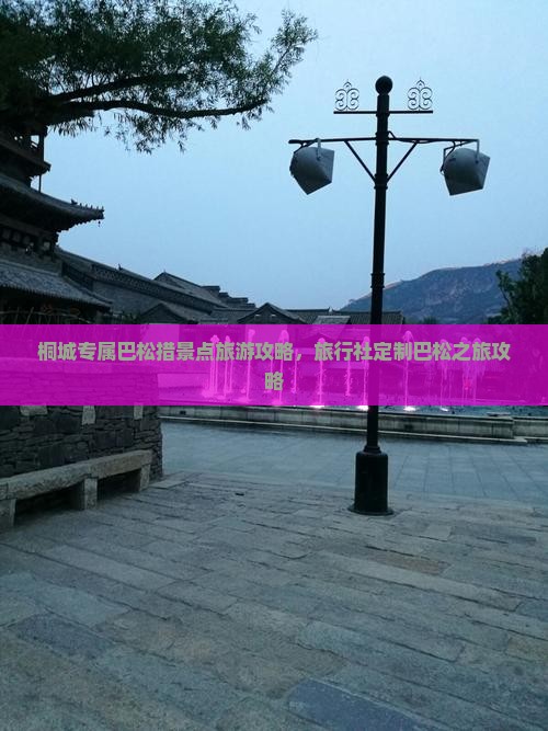 桐城专属巴松措景点旅游攻略，旅行社定制巴松之旅攻略