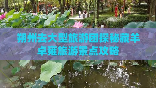 朔州去大型旅游团探秘藏羊卓雍旅游景点攻略