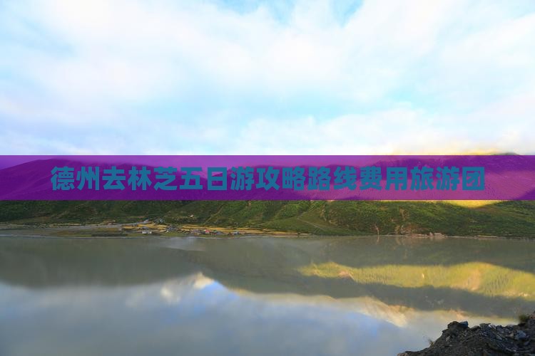 德州去林芝五日游攻略路线费用旅游团