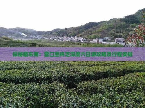 探秘藏东南：营口至林芝深度六日游攻略及行程安排