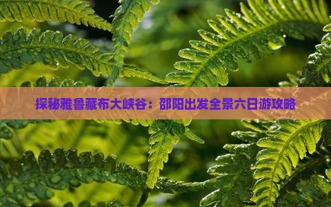 探秘雅鲁藏布大峡谷：邵阳出发全景六日游攻略
