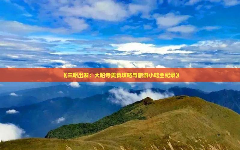《三明出发：大昭寺美食攻略与旅游小吃全纪录》