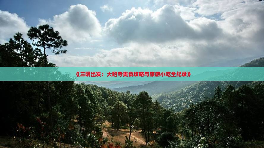 《三明出发：大昭寺美食攻略与旅游小吃全纪录》