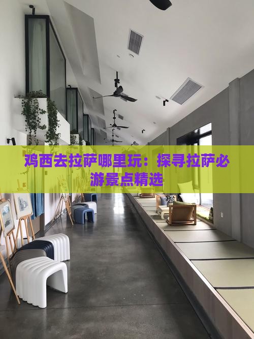 鸡西去拉萨哪里玩：探寻拉萨必游景点精选
