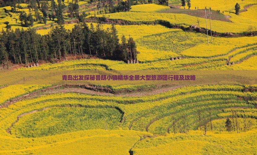 青岛出发探秘鲁朗小镇精华全景大型旅游团行程及攻略