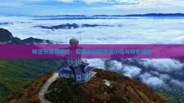 林芝节美食攻略：假期必尝的地道小吃与特色佳肴