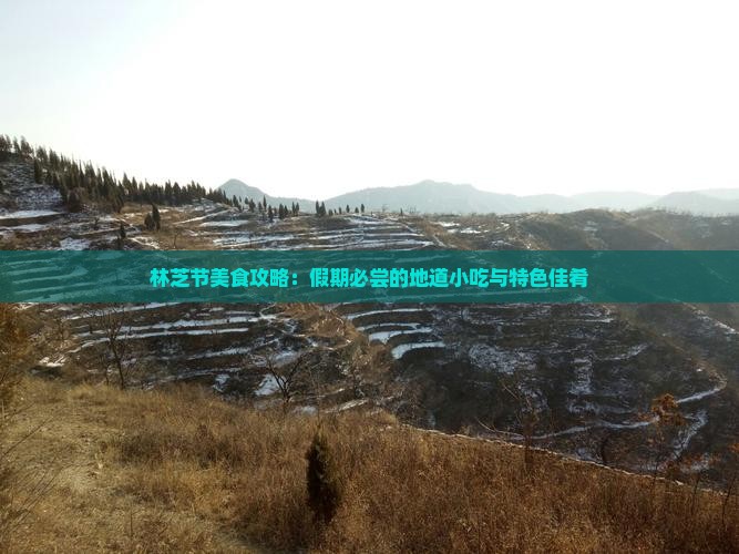林芝节美食攻略：假期必尝的地道小吃与特色佳肴