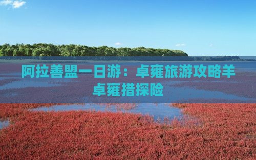 阿拉善盟一日游：卓雍旅游攻略羊卓雍措探险