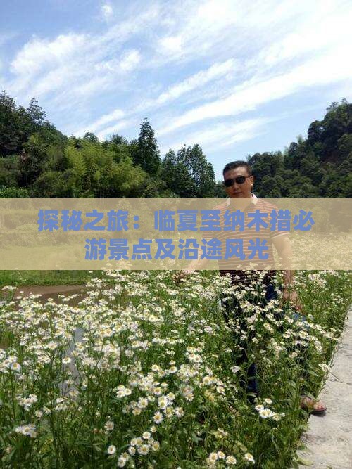 探秘之旅：临夏至纳木措必游景点及沿途风光