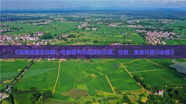 《陇南进藏全攻略：详解至布达拉宫的交通、住宿、美食与旅行必备》