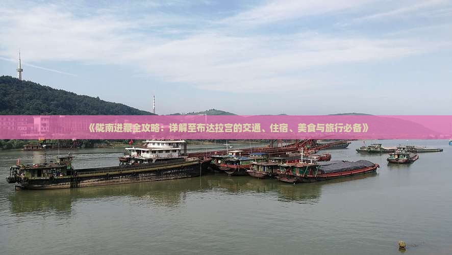 《陇南进藏全攻略：详解至布达拉宫的交通、住宿、美食与旅行必备》