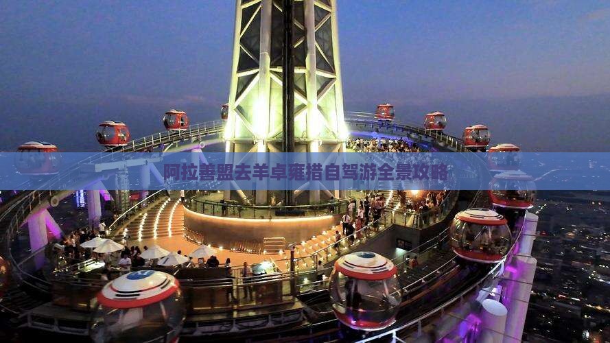 阿拉善盟去羊卓雍措自驾游全景攻略