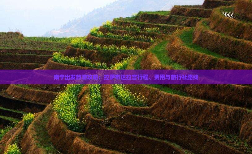 南宁出发旅游攻略:拉萨布达拉宫行程、费用与旅行社路线 南宁出发旅游攻略:拉萨布达拉宫行程、费用与旅行社路线