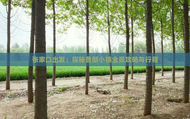 张家口出发：探秘鲁朗小镇全景攻略与行程