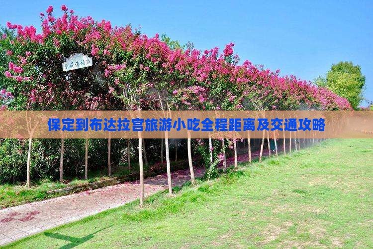 保定到布达拉宫旅游小吃全程距离及交通攻略