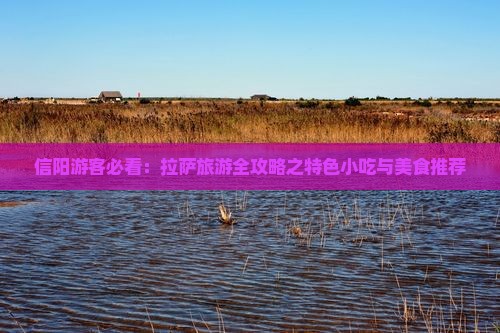 信阳游客必看：拉萨旅游全攻略之特色小吃与美食推荐