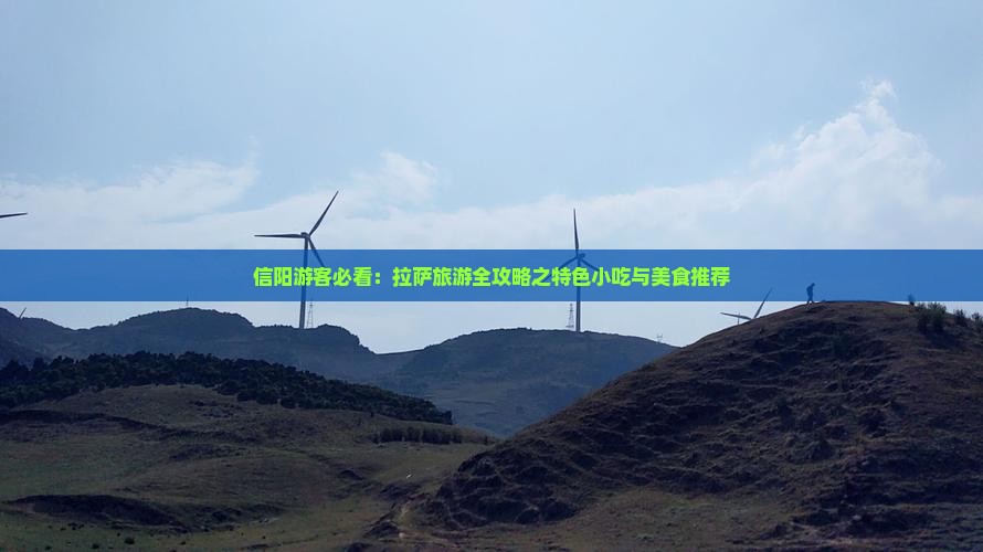 信阳游客必看：拉萨旅游全攻略之特色小吃与美食推荐
