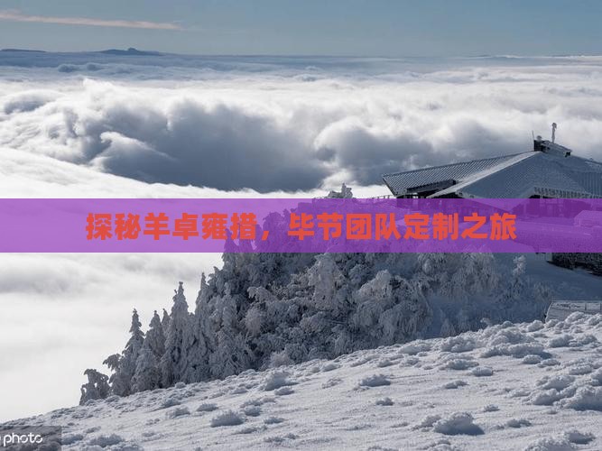 探秘羊卓雍措，毕节团队定制之旅