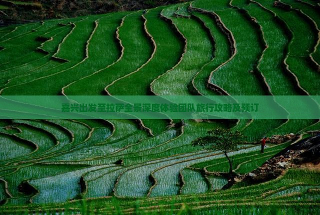 嘉兴出发至拉萨全景深度体验团队旅行攻略及预订