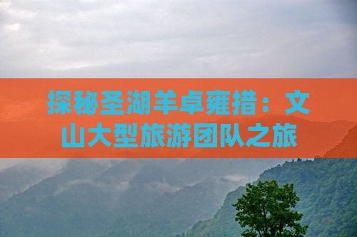 探秘圣湖羊卓雍措：文山大型旅游团队之旅