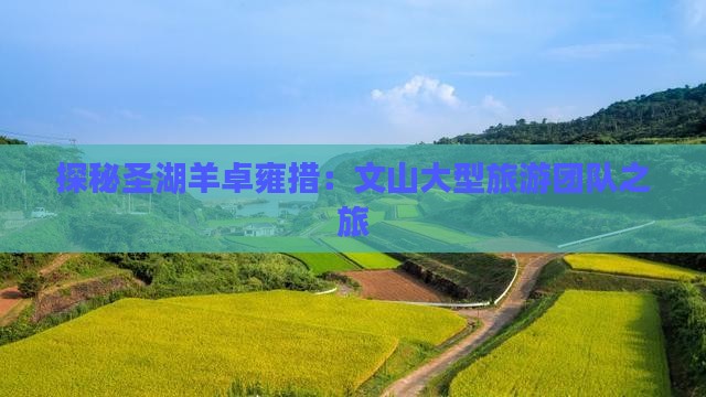 探秘圣湖羊卓雍措：文山大型旅游团队之旅