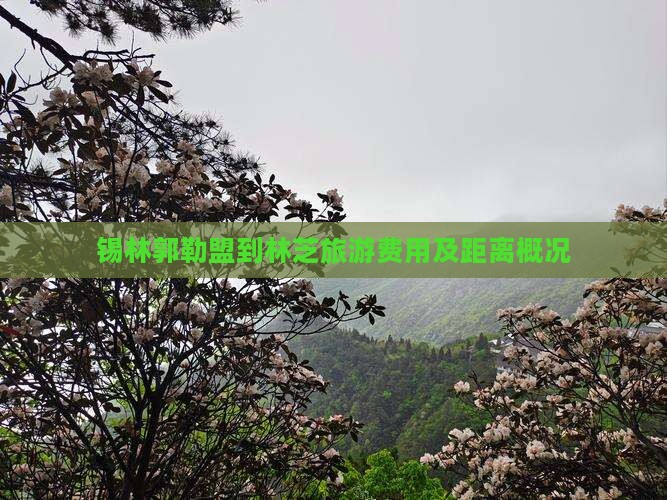 锡林郭勒盟到林芝旅游费用及距离概况