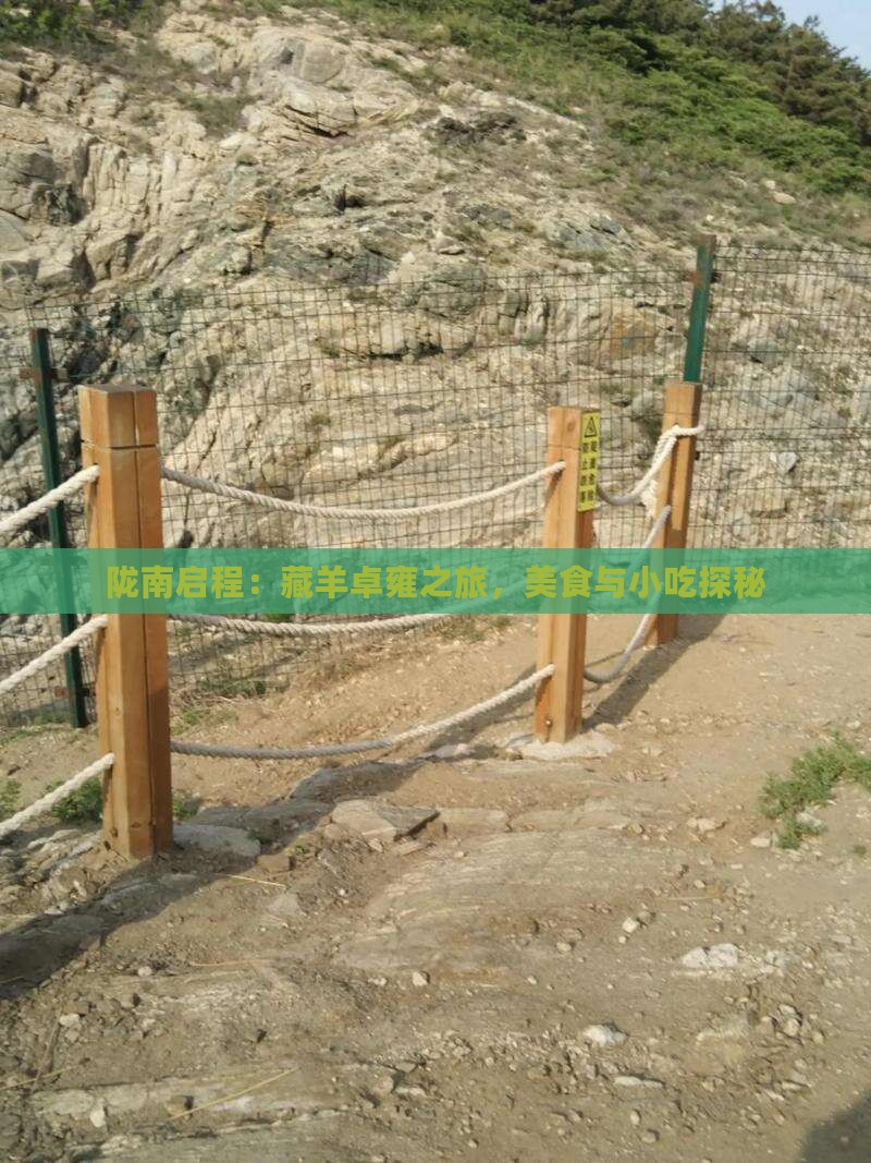 陇南启程：藏羊卓雍之旅，美食与小吃探秘