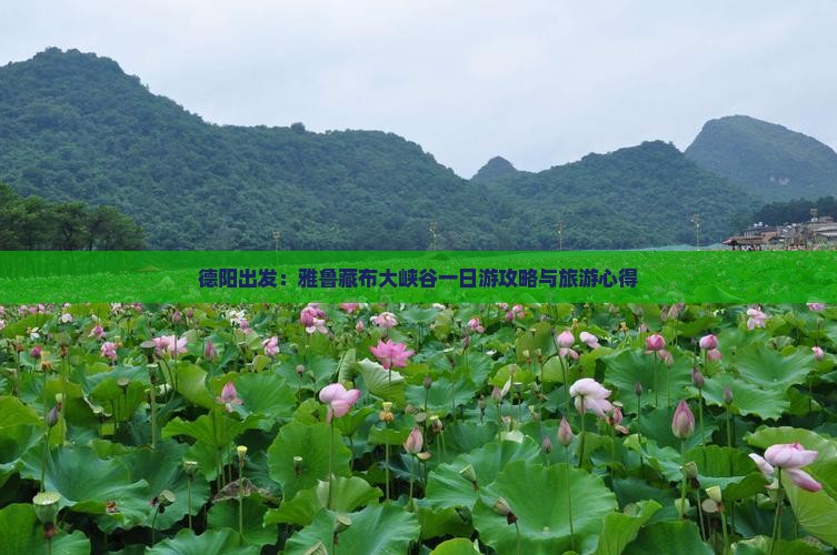 德阳出发：雅鲁藏布大峡谷一日游攻略与旅游心得
