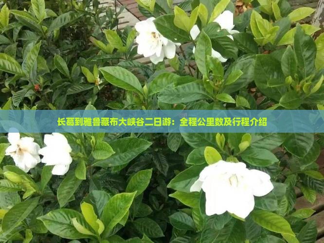 长葛到雅鲁藏布大峡谷二日游：全程公里数及行程介绍