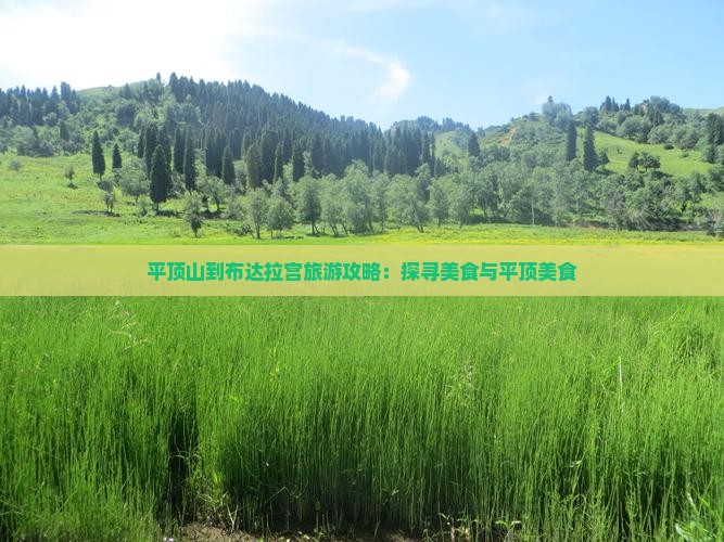 平顶山到布达拉宫旅游攻略：探寻美食与平顶美食