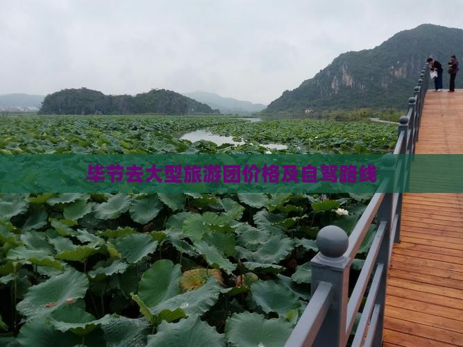 毕节去大型旅游团价格及自驾路线