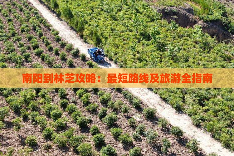 南阳到林芝攻略：最短路线及旅游全指南