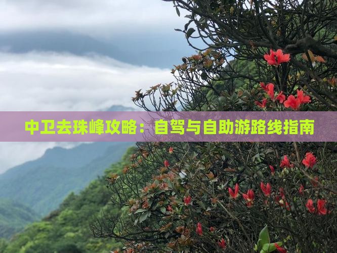中卫去珠峰攻略：自驾与自助游路线指南