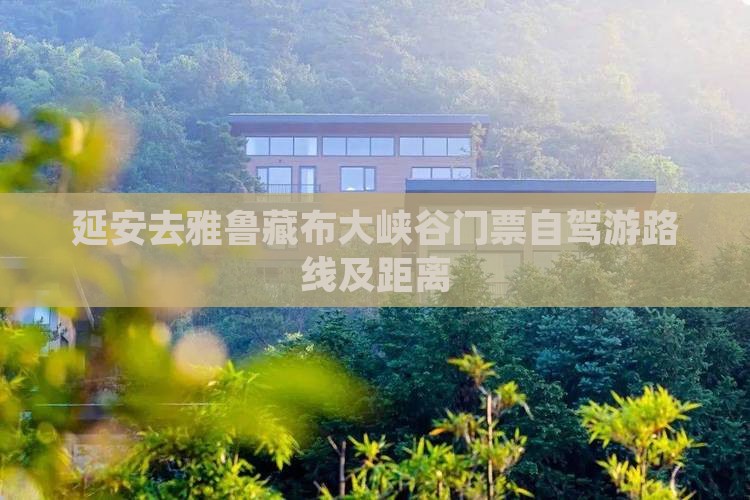 延安去雅鲁藏布大峡谷门票自驾游路线及距离