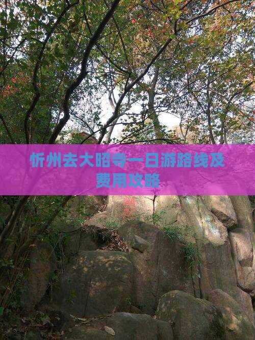 忻州去大昭寺一日游路线及费用攻略