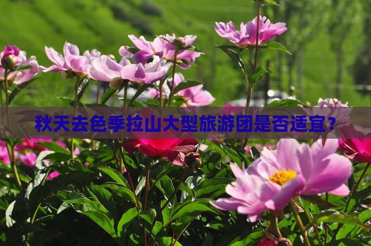 秋天去色季拉山大型旅游团是否适宜？