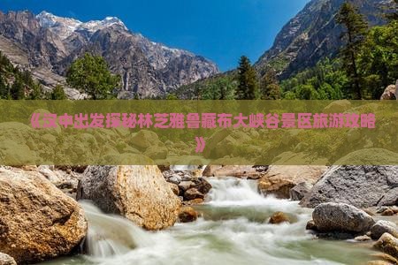 《汉中出发探秘林芝雅鲁藏布大峡谷景区旅游攻略》