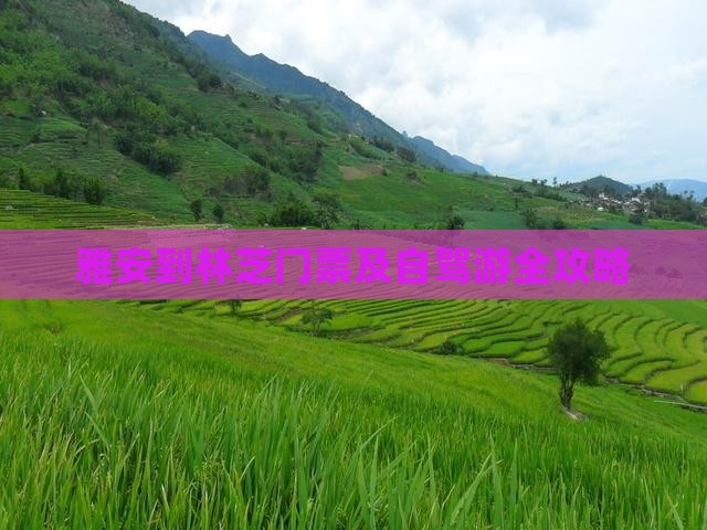 雅安到林芝门票及自驾游全攻略