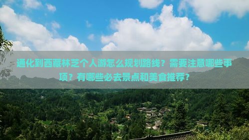 通化到西藏林芝个人游