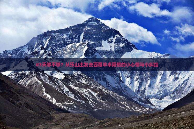 乐山到西藏羊卓雍措三日游
