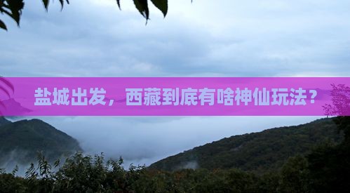 盐城到西藏哪里玩