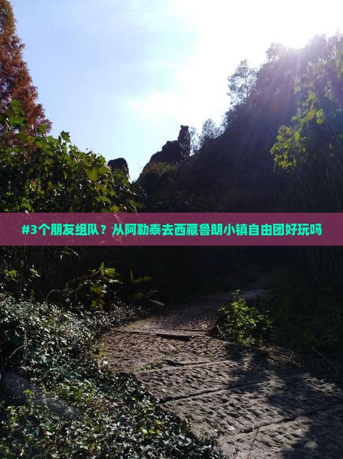 阿勒泰去西藏鲁朗小镇自由团
