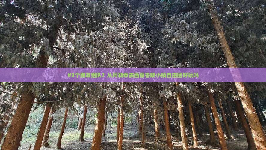 阿勒泰去西藏鲁朗小镇自由团