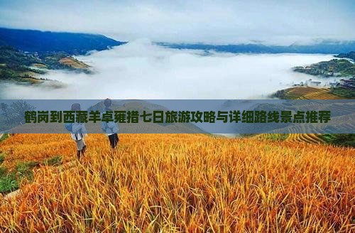 鹤岗到西藏羊卓雍措七日游